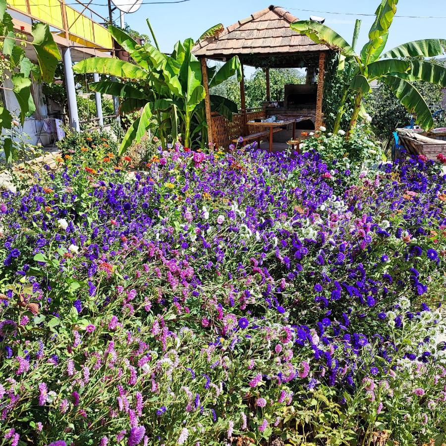 Berdavan Guesthouse 외부 사진